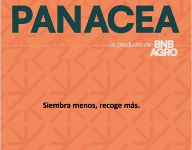 portada A.webp