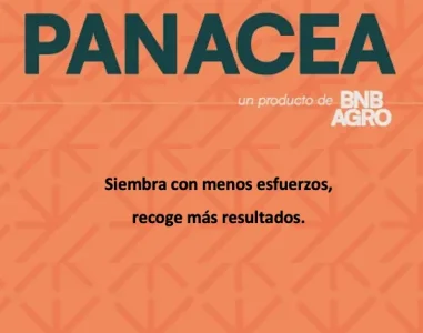 Portada B.webp
