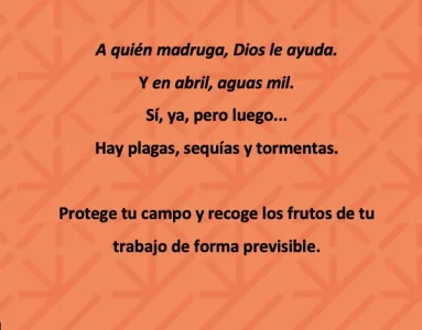 Reverso.webp