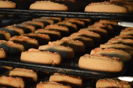 WhatsApp Image 2025-06-13 at 12.46.14.webp