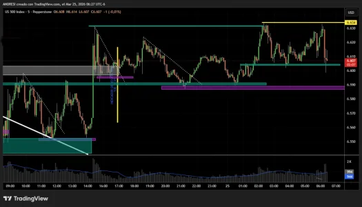 us500 esto crece.webp